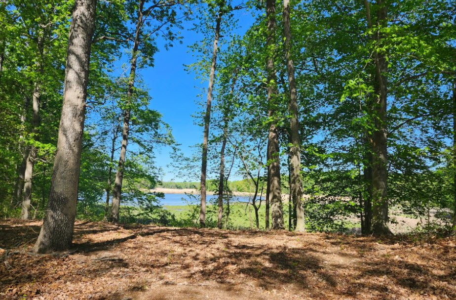 Bohemia River State Park, Maryland, USA